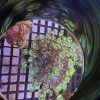 Purple with Green Tips Goniopora Mini Colony - Image 2
