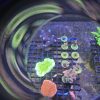 Pink/Green Millepora Frags - Image 2